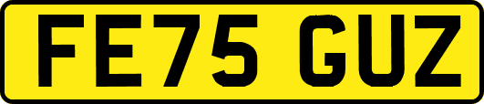 FE75GUZ