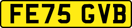 FE75GVB