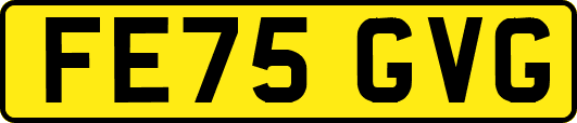 FE75GVG