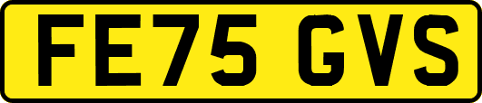 FE75GVS