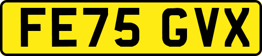 FE75GVX