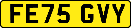 FE75GVY