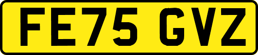 FE75GVZ