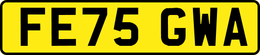 FE75GWA