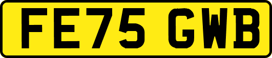 FE75GWB