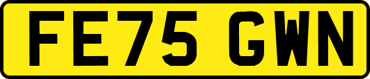FE75GWN