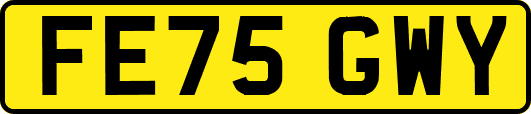 FE75GWY