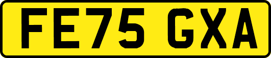 FE75GXA