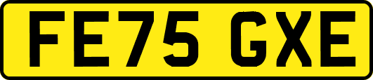FE75GXE