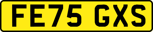 FE75GXS