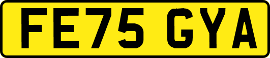 FE75GYA