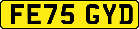 FE75GYD