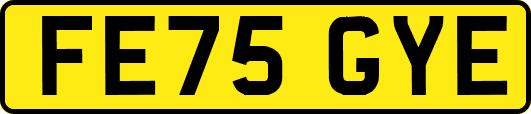 FE75GYE
