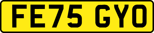 FE75GYO
