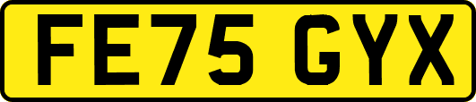 FE75GYX
