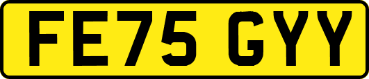 FE75GYY