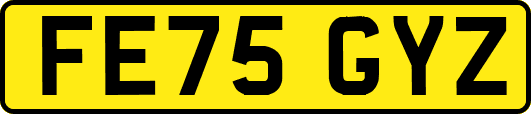 FE75GYZ