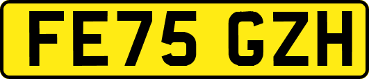 FE75GZH
