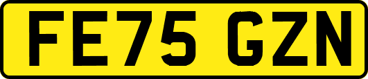 FE75GZN