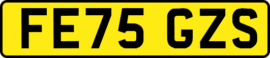 FE75GZS
