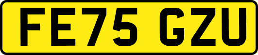 FE75GZU