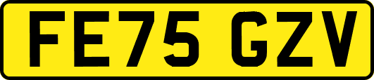 FE75GZV