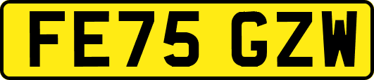 FE75GZW
