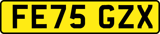 FE75GZX