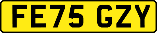 FE75GZY