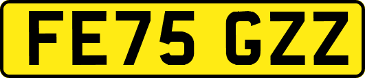 FE75GZZ