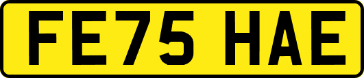 FE75HAE