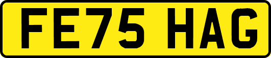 FE75HAG