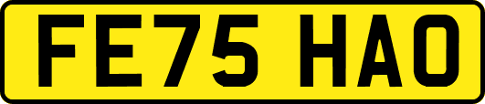 FE75HAO
