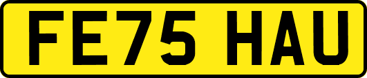 FE75HAU