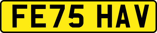 FE75HAV