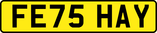 FE75HAY