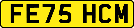 FE75HCM