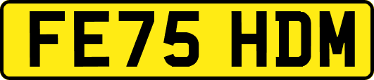 FE75HDM