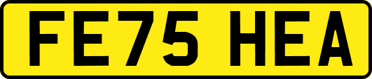 FE75HEA