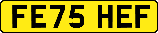 FE75HEF