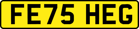 FE75HEG