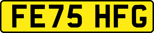 FE75HFG