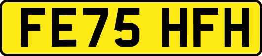 FE75HFH