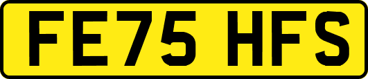 FE75HFS