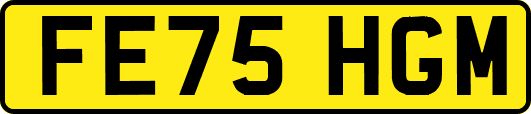 FE75HGM