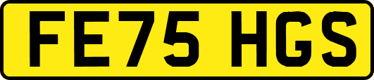 FE75HGS