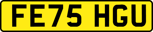 FE75HGU
