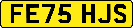 FE75HJS