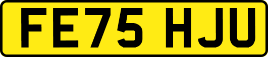 FE75HJU