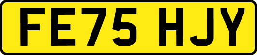 FE75HJY